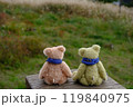 秋の草原のマフラーをしたテディベア　ススキを眺めて 119840975