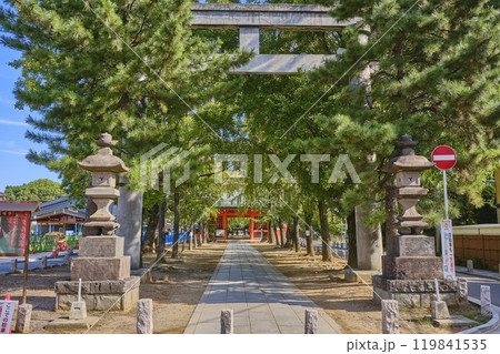 千葉県市川市 葛飾八幡宮 鳥居と参道 千葉県市川市 葛飾八幡宮 鳥居と参道 119841535