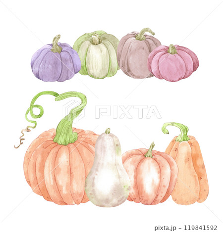 Hand drawn watercolor set of pumpkins isolated on white background. Rural illustration Can be used for postcard, label, scrapbook and other printed products. 119841592
