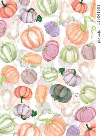 Hand drawn watercolor autumn pumpkins postcard cover isolated on white background. Rural illustration Can be used for postcard, book cover, scrapbook and other printed products. 119841601