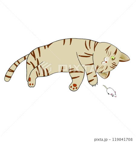 猫とねずみカー 119841708