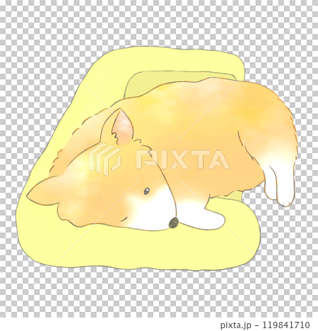 Corgi sleeping in bed Corgi sleeping in bed 119841710