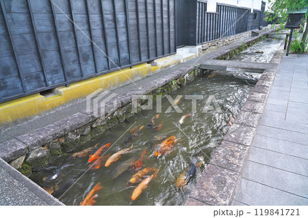【瀬戸川と白壁土蔵街の風景】 岐阜県飛騨市古川町殿町 119841721
