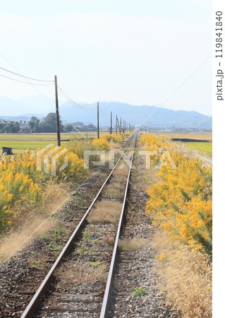 ローカル線の車窓風景(秋草の揺れる九州平成筑豊鉄道の前面展望1) ローカル線の車窓風景(秋草の揺れる九州平成筑豊鉄道の前面展望1) 119841840