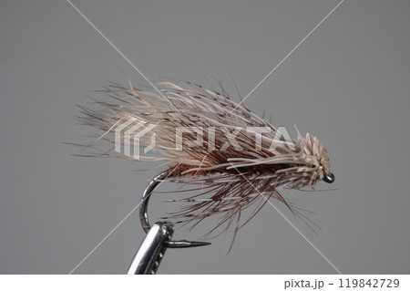 エルクヘアカディス2411（フライ） 119842729