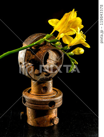A still life capturing the contrast between the softness of nature and the ruggedness of industrial elements A still life capturing the contrast between the softness of nature and the ruggedness of industrial elements 119843378