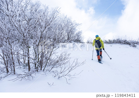 スノーシュートレッキングのイメージ　大山鏡ヶ成   119843411
