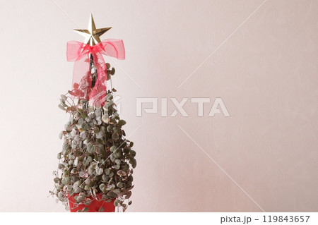 ハートカズラのクリスマスツリー ハートカズラのクリスマスツリー 119843657