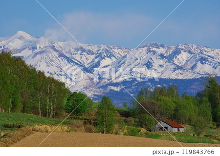 新緑と残雪の山と畑 新緑と残雪の山と畑 119843766