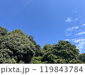 秋晴れの青空と樹木 119843784