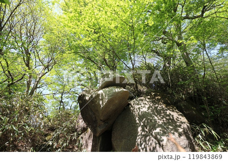 2024年5月の茨城県の筑波山の 2024年5月の茨城県の筑波山の 119843869