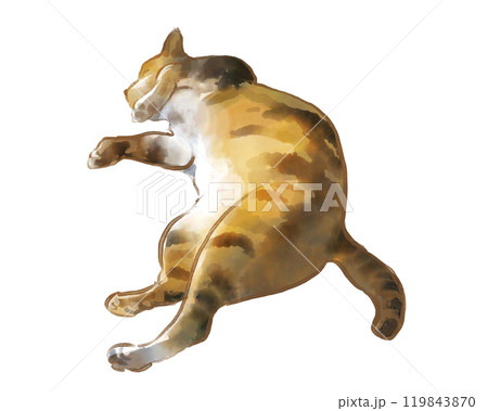 昼寝をするキジ猫の水彩イラスト 昼寝をするキジ猫の水彩イラスト 119843870