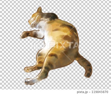 昼寝をするキジ猫の水彩イラスト 昼寝をするキジ猫の水彩イラスト 119843870