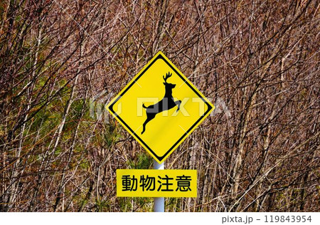 動物注意の標識 119843954