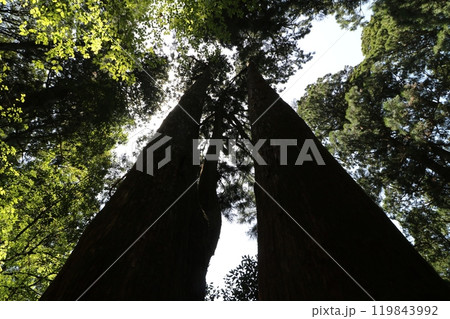 2024年5月の茨城県の筑波山の登山 119843992