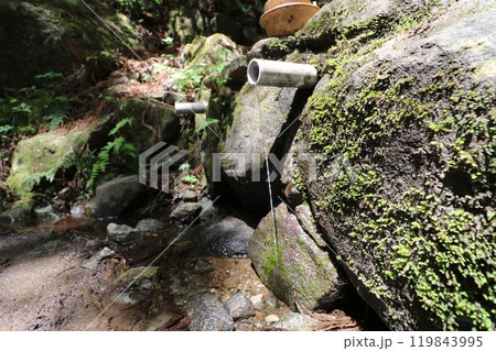 2024年5月の茨城県の筑波山の登山 2024年5月の茨城県の筑波山の登山 119843995