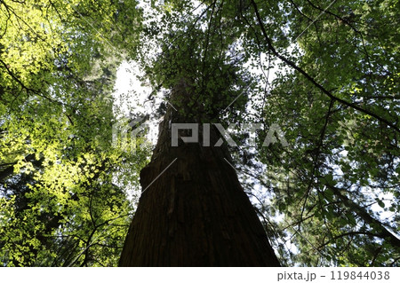 2024年5月の茨城県の筑波山の登山 2024年5月の茨城県の筑波山の登山 119844038