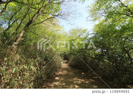 2024年5月の茨城県の筑波山の登山 2024年5月の茨城県の筑波山の登山 119844091