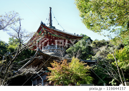 第8番札所 普明山 真光院 熊谷寺(多宝塔)　【徳島県阿波市土成町】 119844157