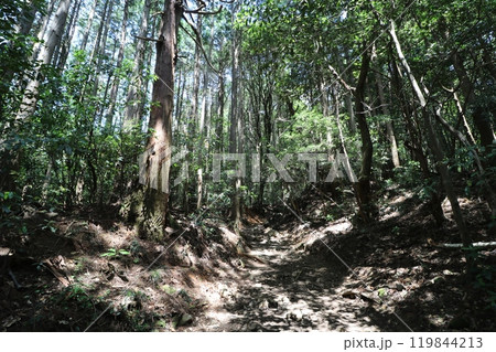 2024年5月の茨城県の筑波山の登山 2024年5月の茨城県の筑波山の登山 119844213