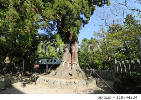 2024年5月の茨城県の筑波山の登山 2024年5月の茨城県の筑波山の登山 119844224