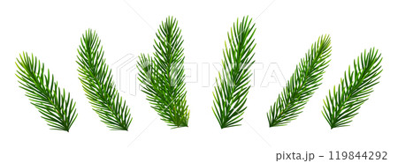 Christmas fir tree branches. Pine, spruce green branches for Christmas decorations. Vector illustration 119844292