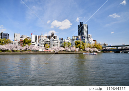 天満橋付近のビル群 【大阪府大阪市中央区】 天満橋付近のビル群 【大阪府大阪市中央区】 119844335