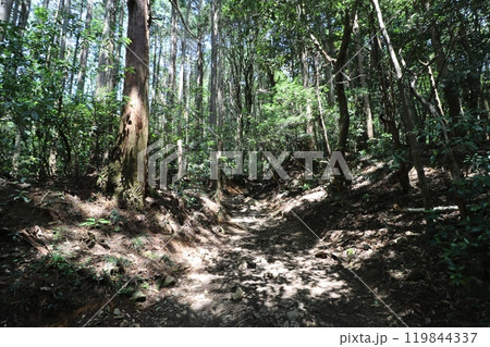 2024年5月の茨城県の筑波山の登山 119844337