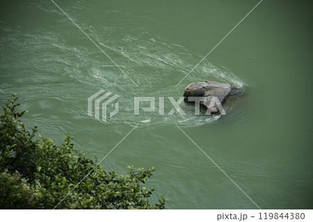 礫石(櫛田川) 【三重県松阪市飯高町】 礫石(櫛田川) 【三重県松阪市飯高町】 119844380