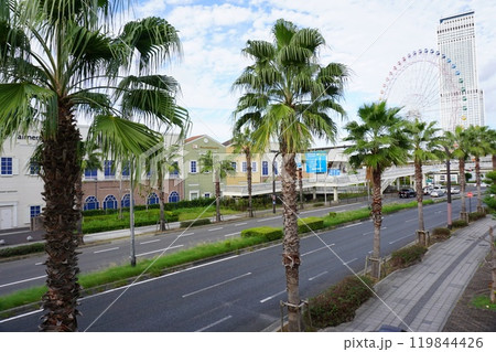 りんくうプレミアム・アウトレット街並み風景 りんくうプレミアム・アウトレット街並み風景 119844426