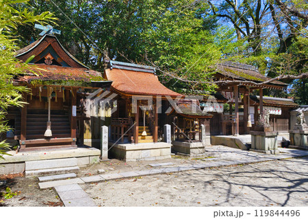 宗像神社 本殿　琴平神社　繁栄稲荷社　少将井神社　（京都御苑　宗像神社）京都府京都市上京区 119844496
