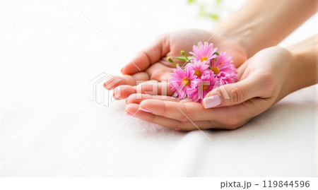 Female hands presenting natural skincare cream surrounded by vibrant daisy flowers on isolated white background, organic hand care product advertisement with floral elements 119844596