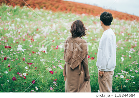 コキアとコスモス畑を見る若いカップルの後ろ姿 119844684