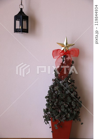 ハートカズラのクリスマスツリー ハートカズラのクリスマスツリー 119844934