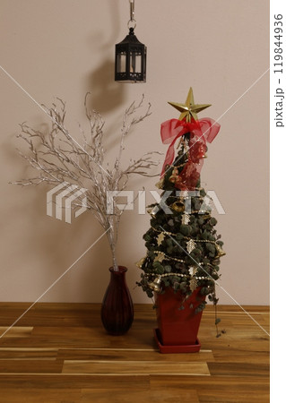 ハートカズラのクリスマスツリー 119844936