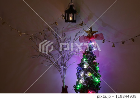 ハートカズラのクリスマスツリー 119844939