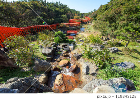 高山稲荷神社 千本鳥居と清流 青森県 高山稲荷神社 千本鳥居と清流 青森県 119845128