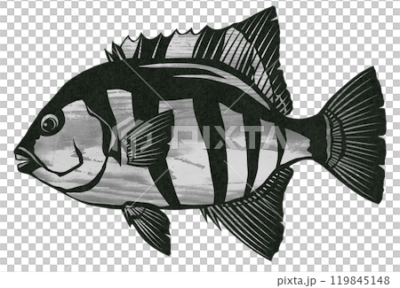 石台木紋的剪紙插圖 119845148