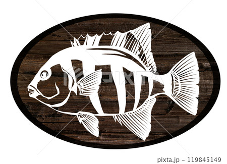 海水魚イシダイのウッドペインティング切り絵イラスト 119845149