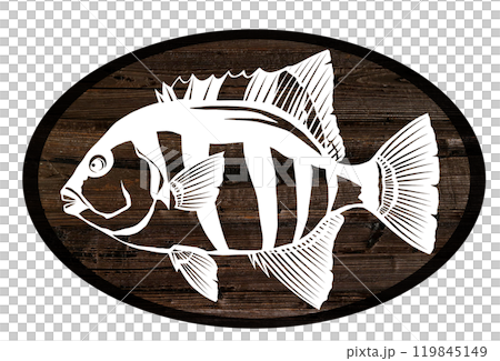 海水魚イシダイのウッドペインティング切り絵イラスト 119845149