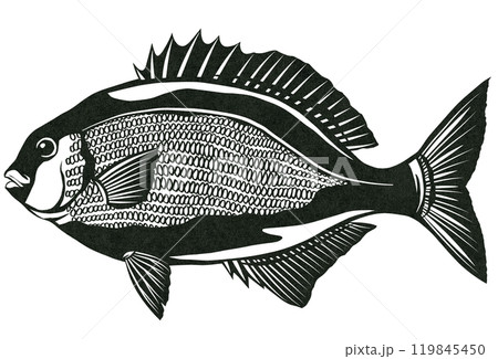 海水魚イスズミのシンプル白黒切り絵イラスト 海水魚イスズミのシンプル白黒切り絵イラスト 119845450