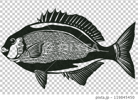 海水魚イスズミのシンプル白黒切り絵イラスト 海水魚イスズミのシンプル白黒切り絵イラスト 119845450