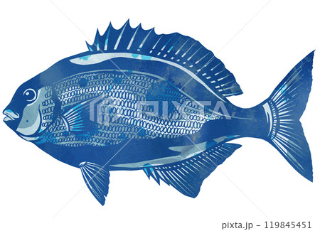 うんこ垂れの汚名がつく海水魚イスズミの切り絵イラスト うんこ垂れの汚名がつく海水魚イスズミの切り絵イラスト 119845451