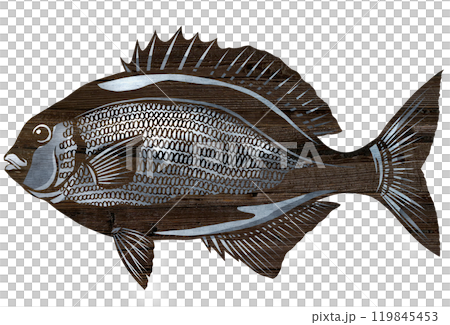 A paper cut-out illustration of a Japanese sea bass, which is unpopular with anglers due to its distinctive smell. 119845453