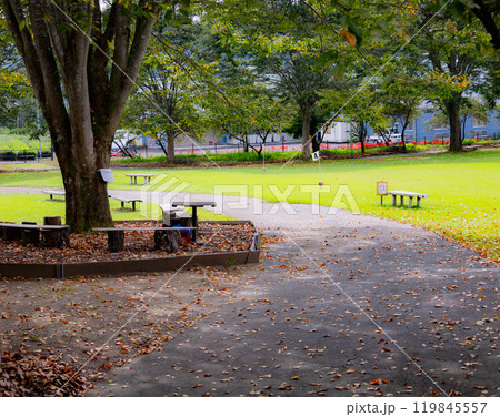 奥久慈茶の里公園　彼岸花風景 119845557