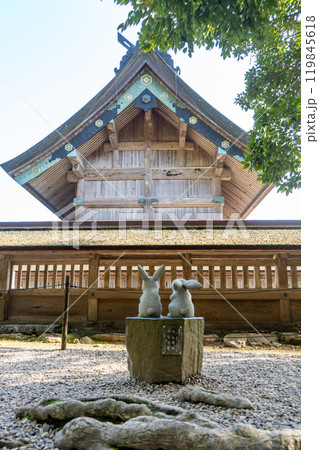 島根県出雲市　出雲大社本殿を見つめる因幡の白兎 119845618