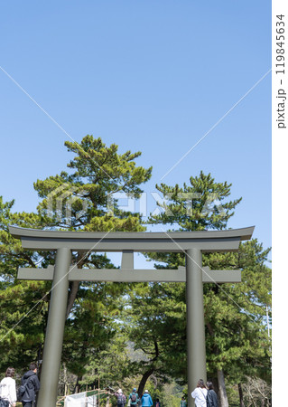 島根県出雲市　出雲大社の鳥居 119845634