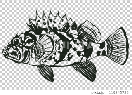 海水魚イソカサゴのシンプル白黒切り絵イラスト 海水魚イソカサゴのシンプル白黒切り絵イラスト 119845723