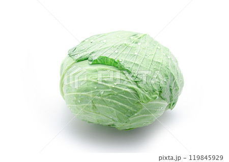 新鮮なキャベツ （ 白背景 ）　 119845929