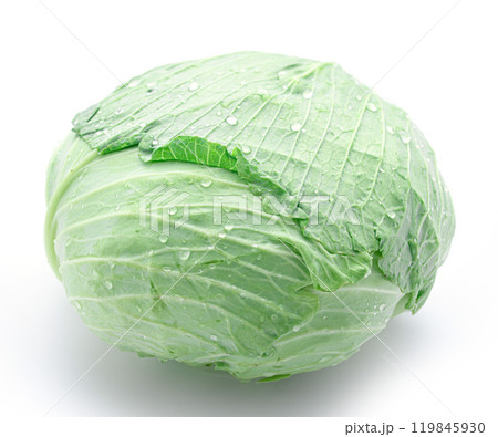 新鮮なキャベツ （ 白背景 ）　 119845930